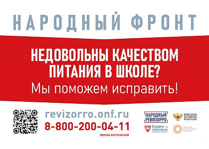 НАРОДНЫЙ РЕВИЗОРРО